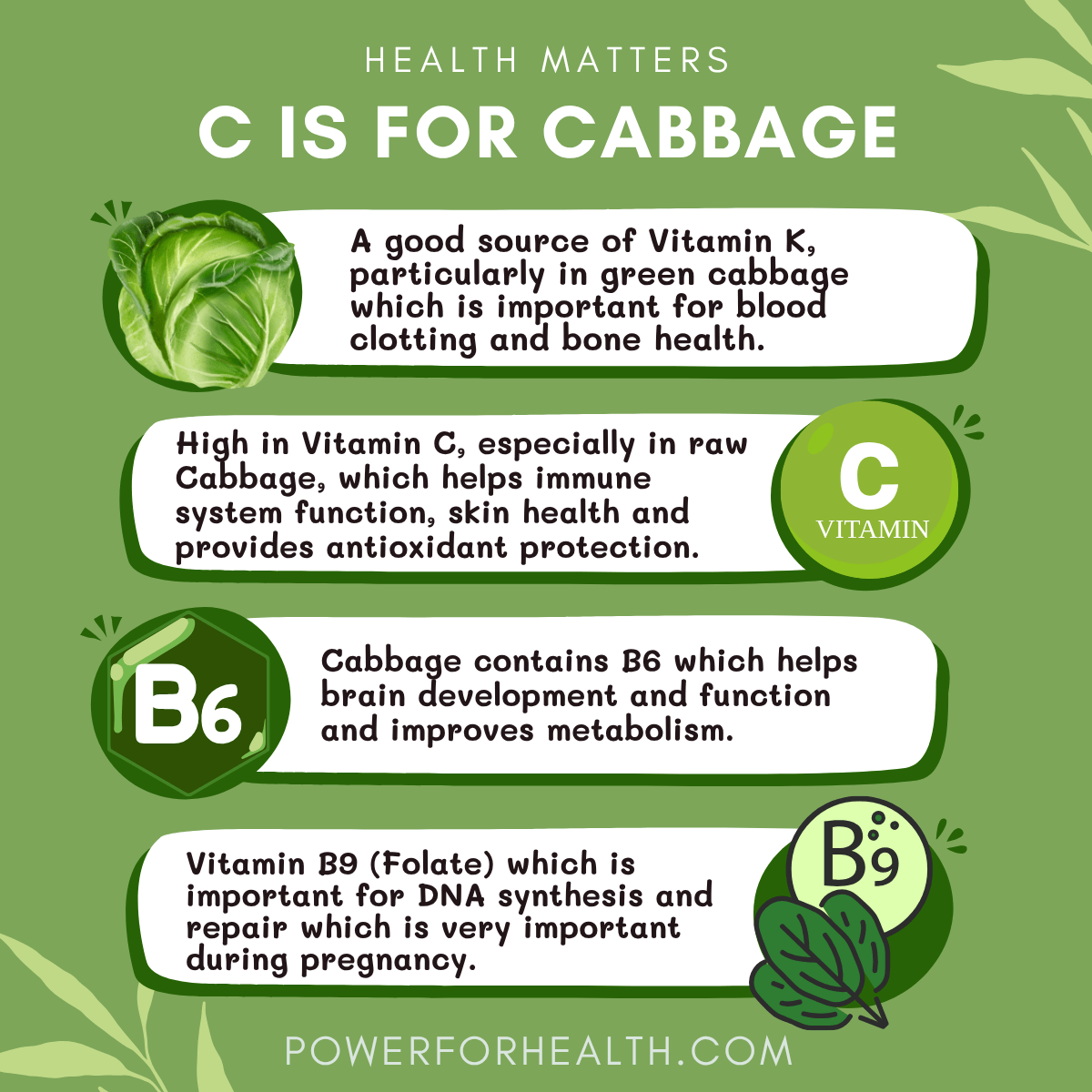 C is for Cabbage