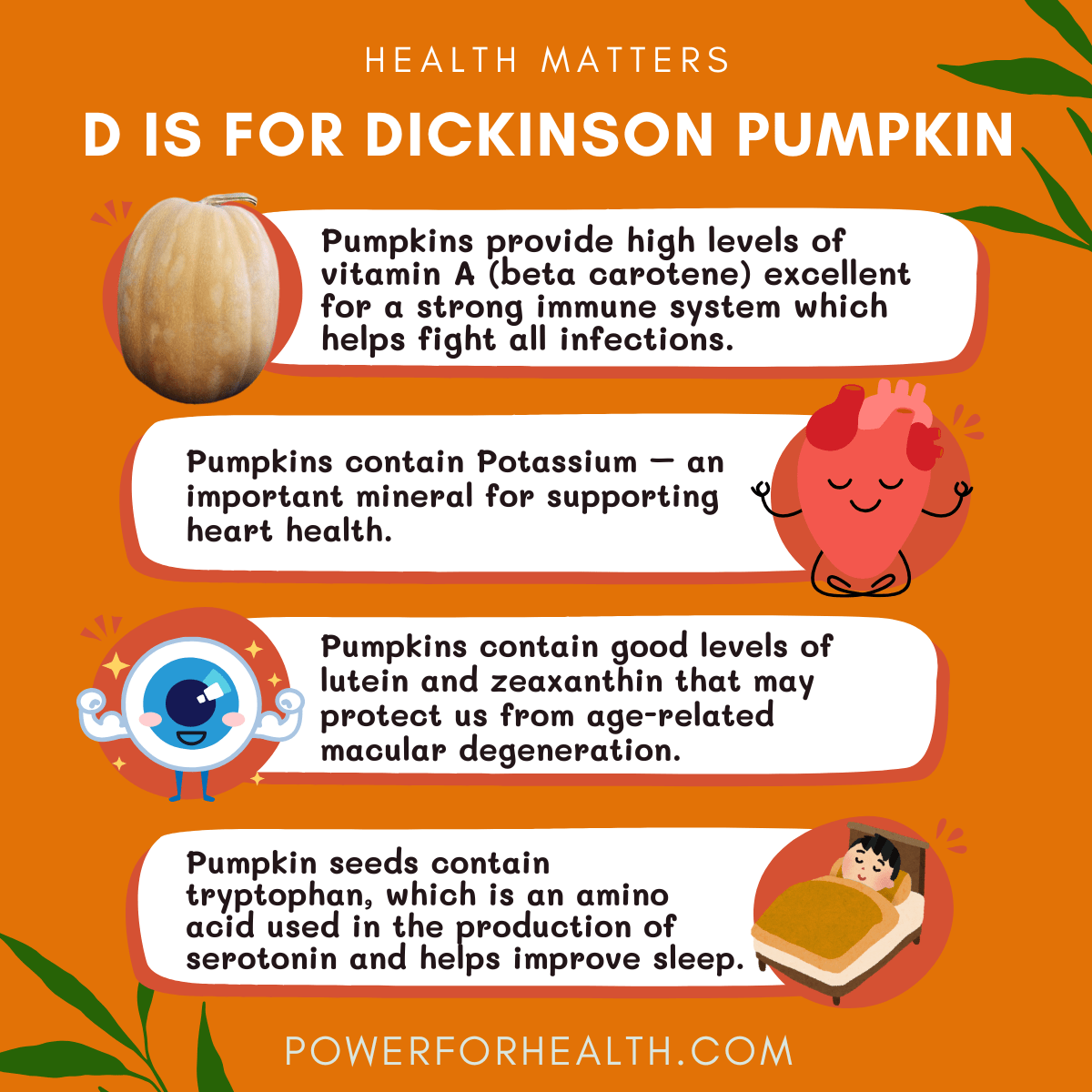 D is for Dickinson Pumpkin